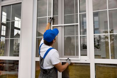 Window Replacement on a House